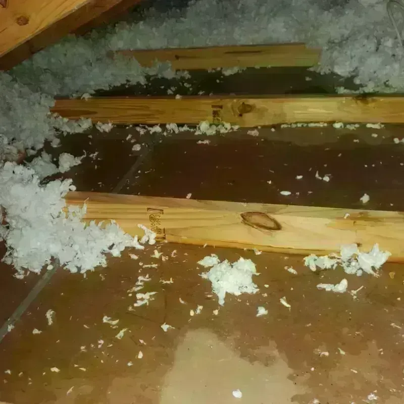 Attic Water Damage in Renville County, ND